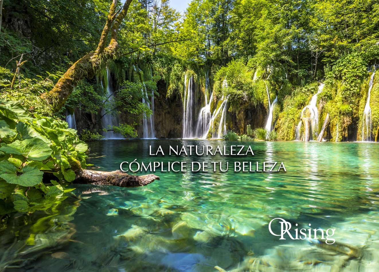La naturaleza cómplice de tu belleza. orising